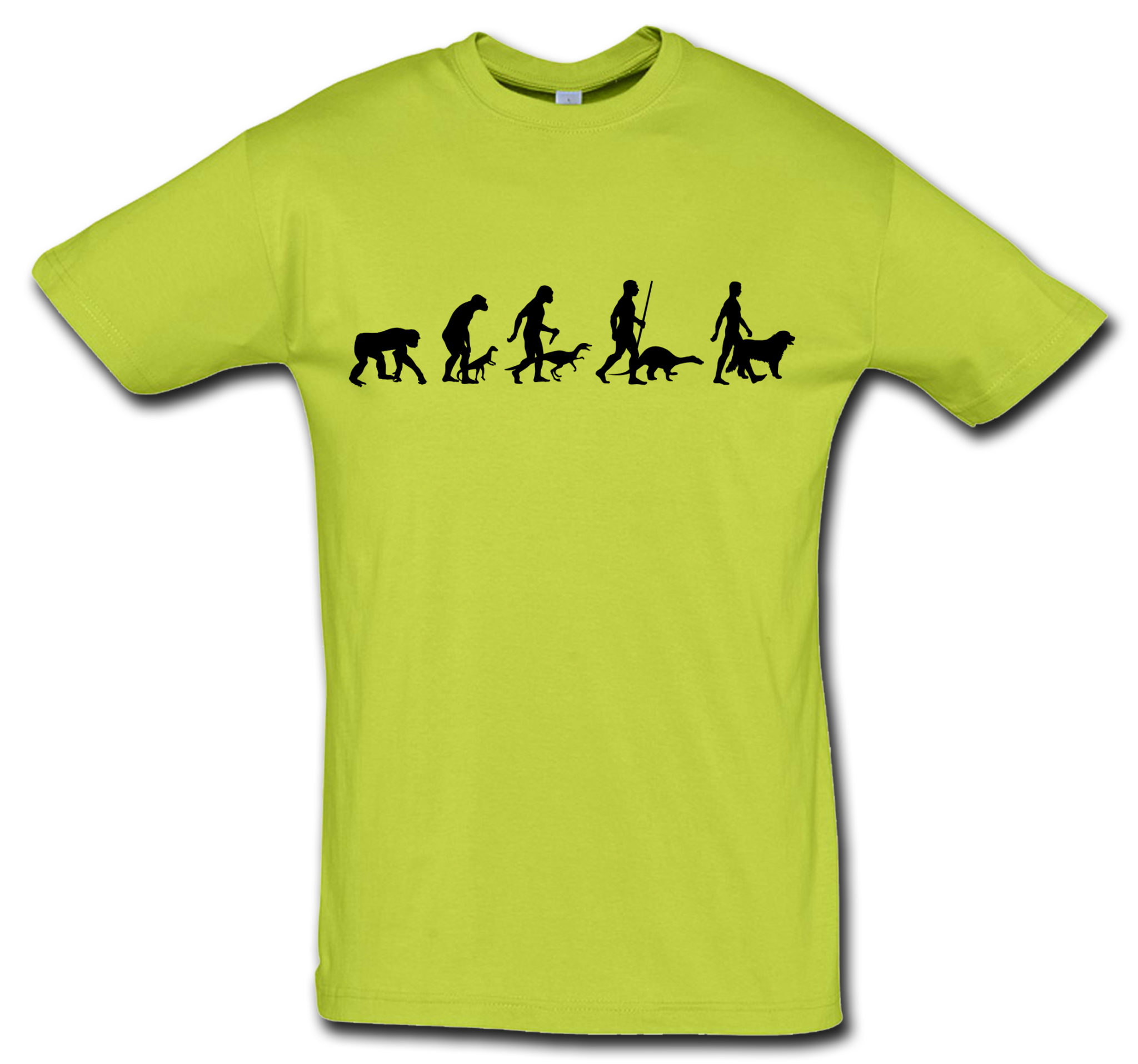 T-Shirt Evolution Berner Sennenhund – Bild 9