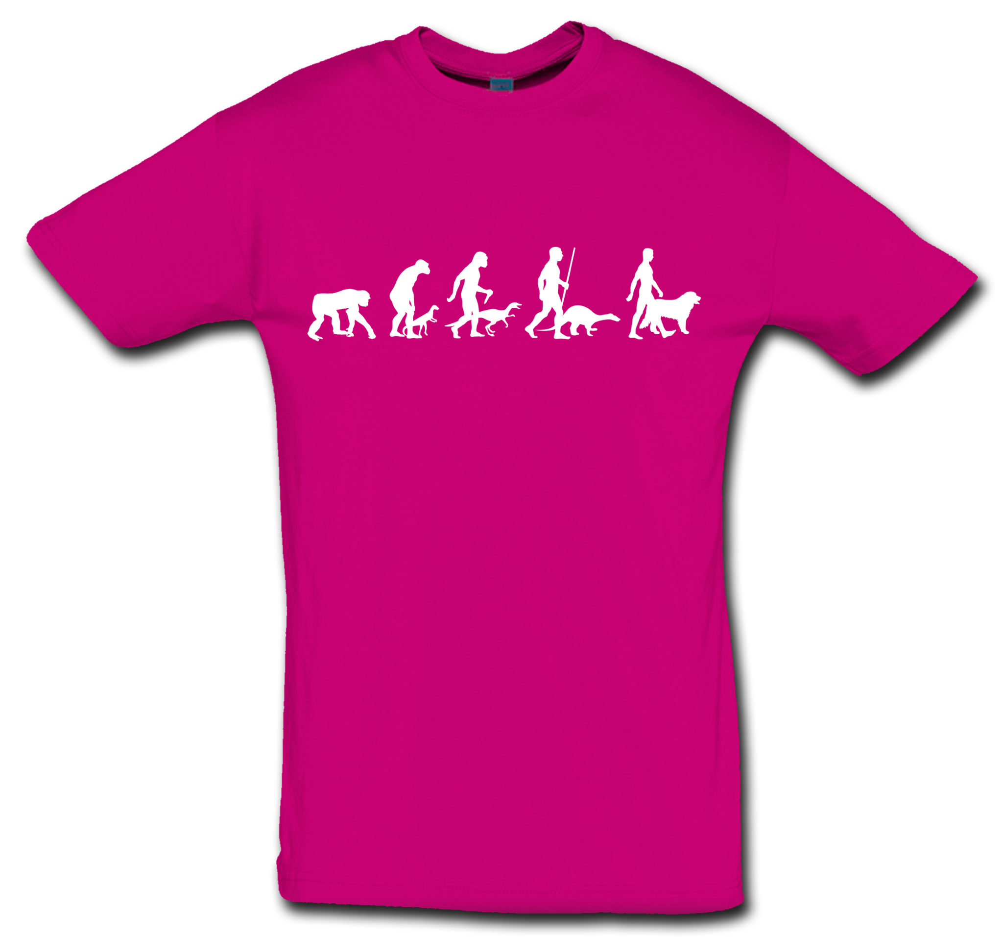T-Shirt Evolution Berner Sennenhund – Bild 10