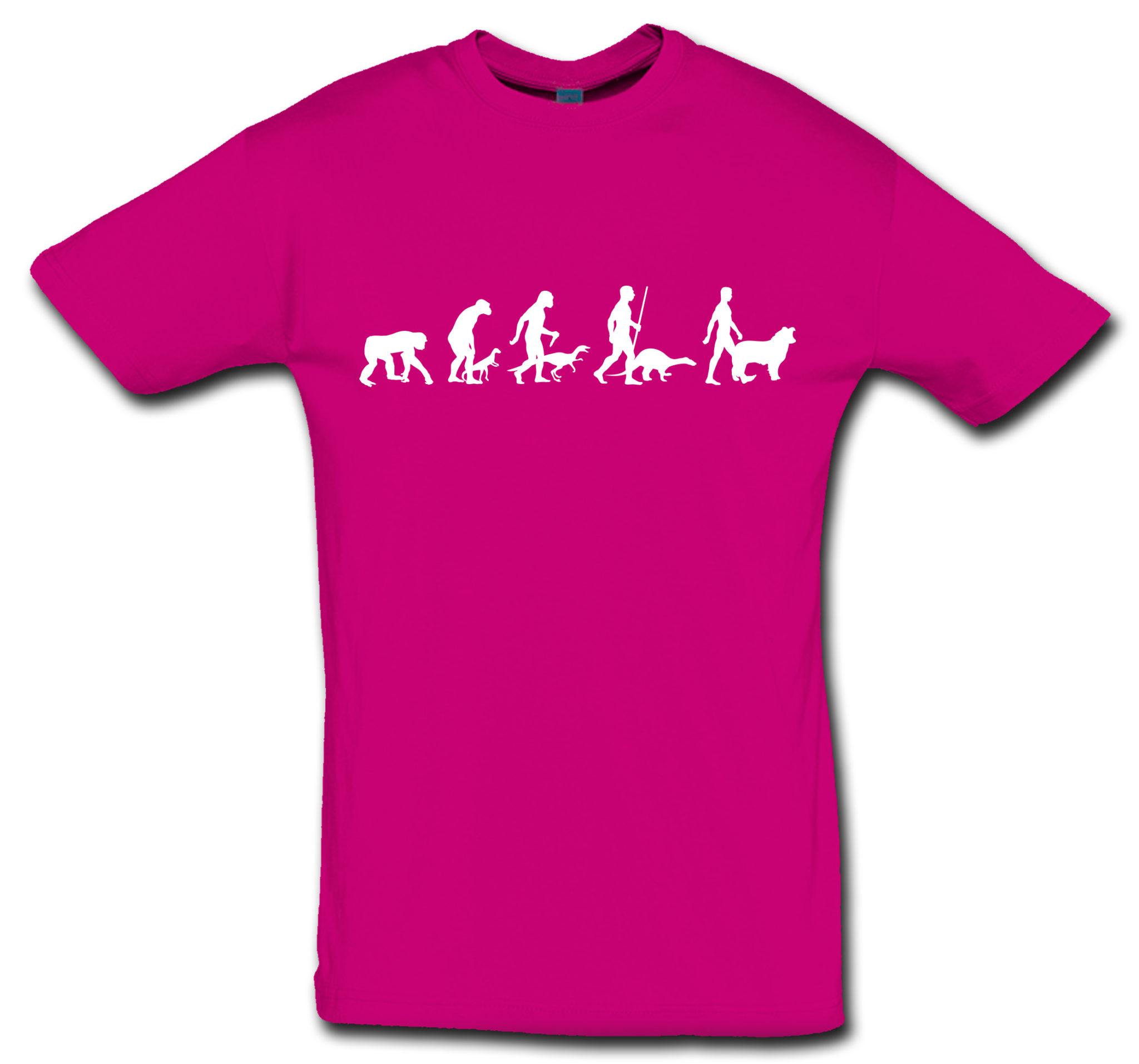 T-Shirt Evolution Border Collie – Bild 6
