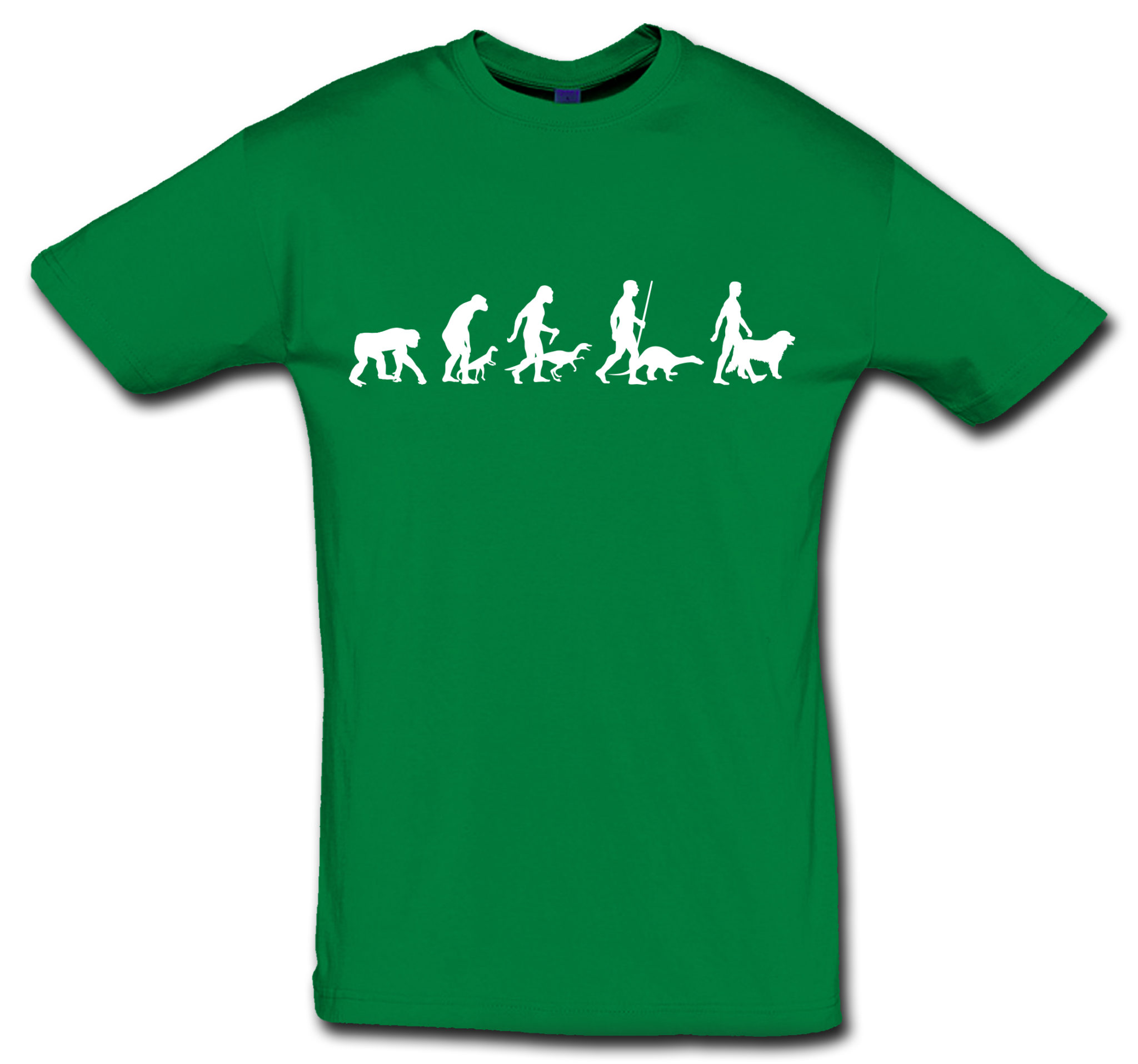 T-Shirt Evolution Berner Sennenhund – Bild 6