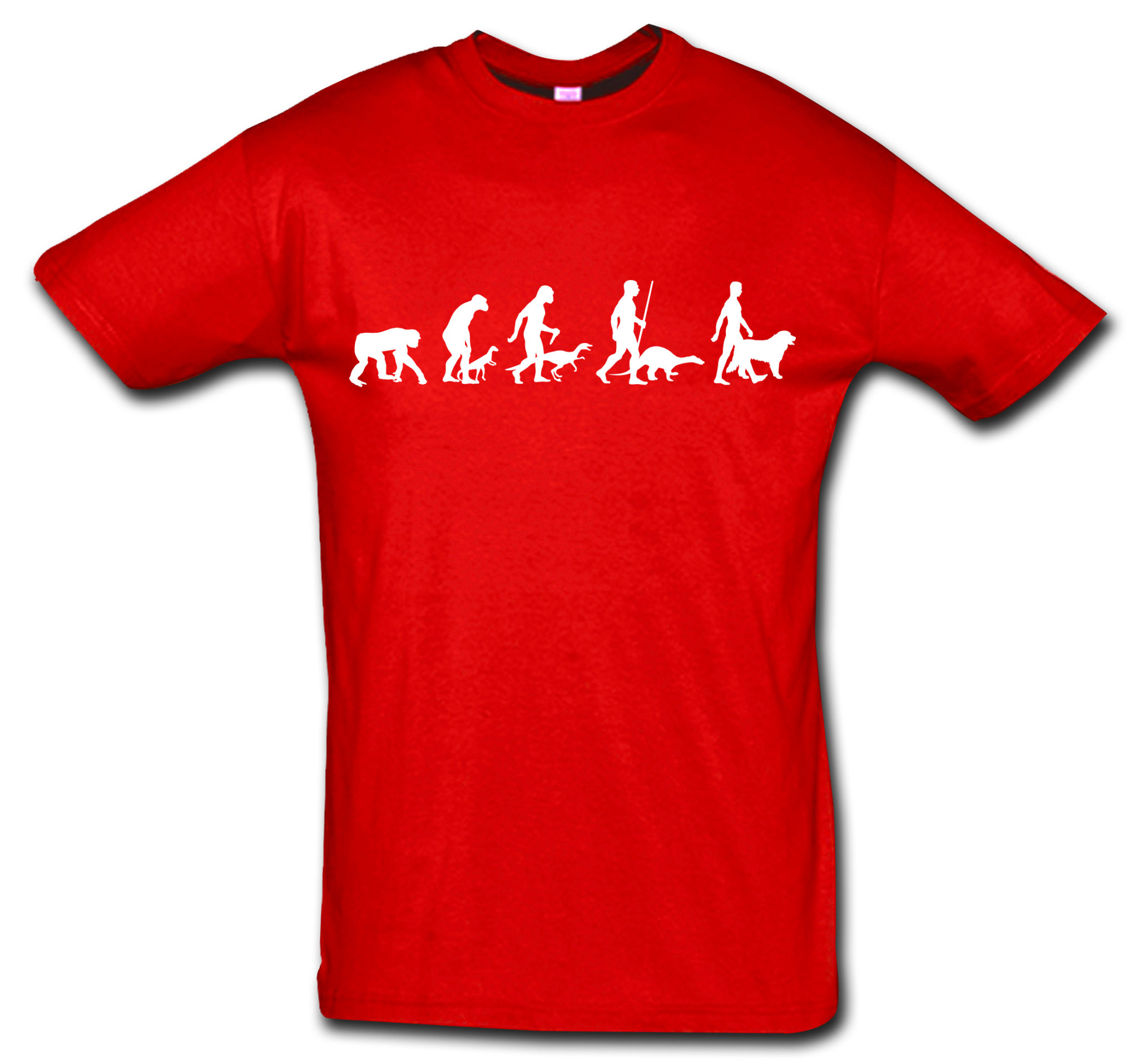 T-Shirt Evolution Berner Sennenhund – Bild 4