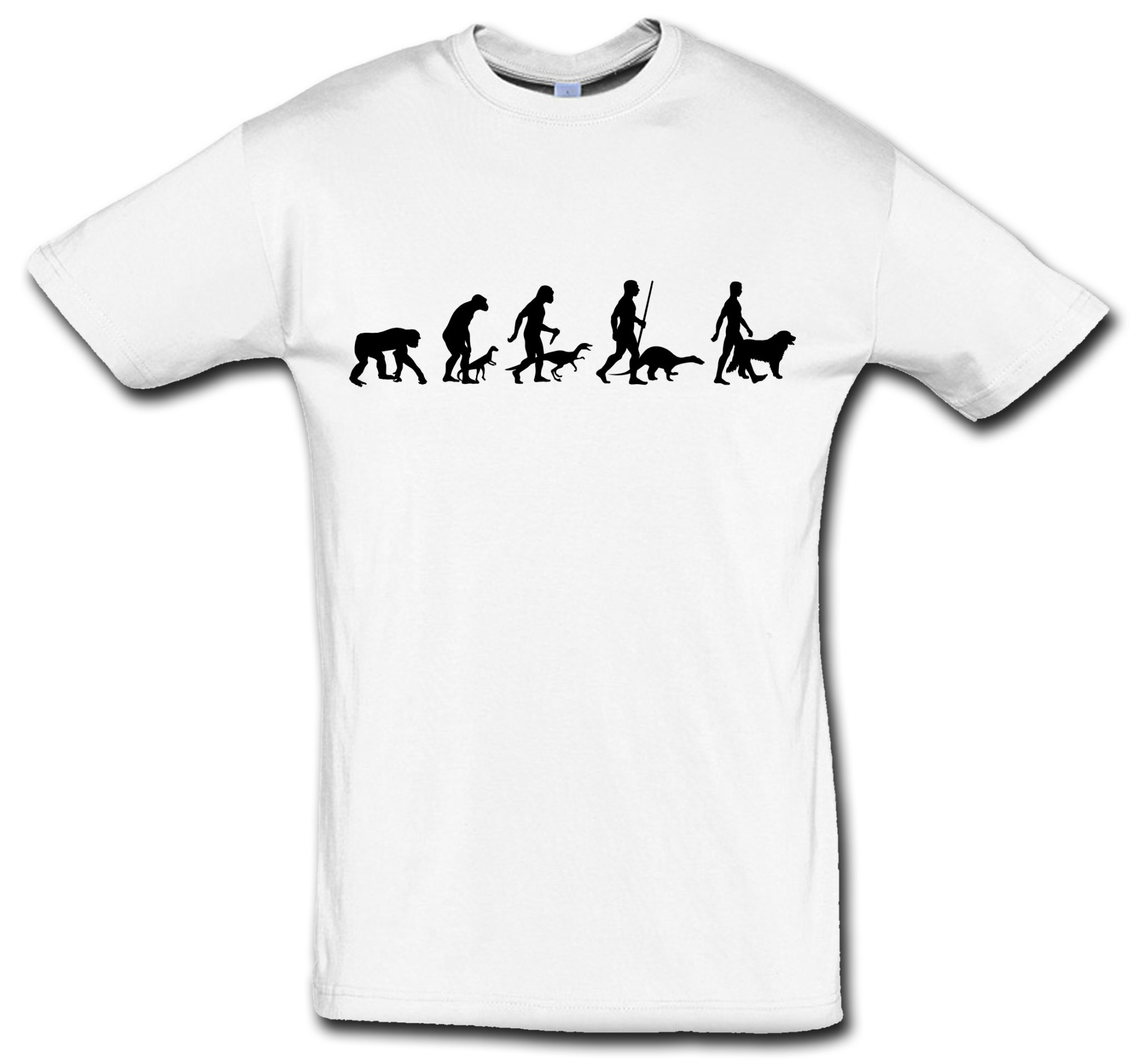 T-Shirt Evolution Berner Sennenhund – Bild 2