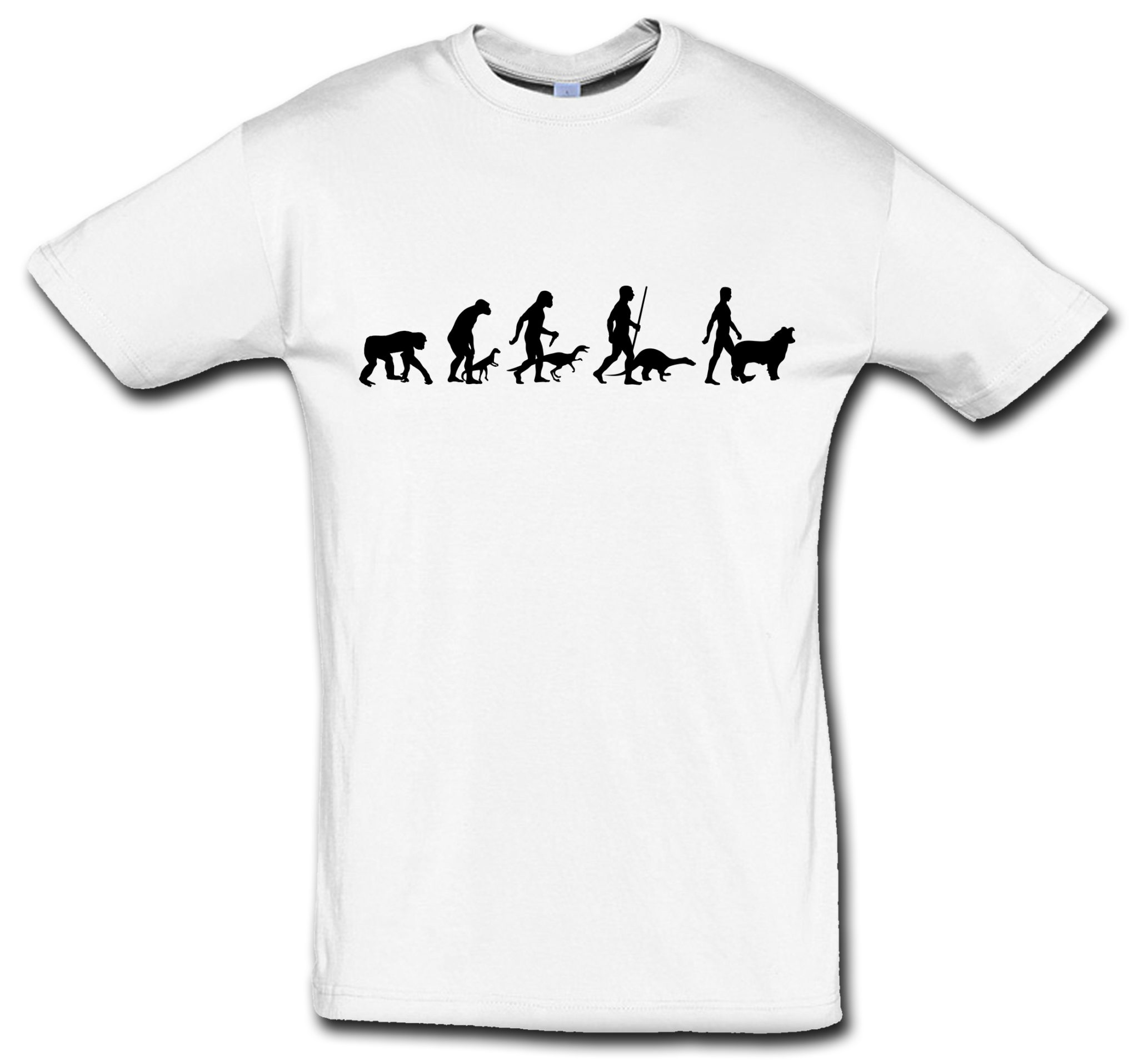 T-Shirt Evolution Border Collie – Bild 2