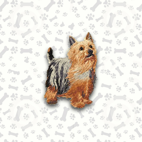 Australian Silky Terrier