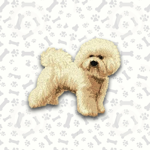 Bichon Frisé