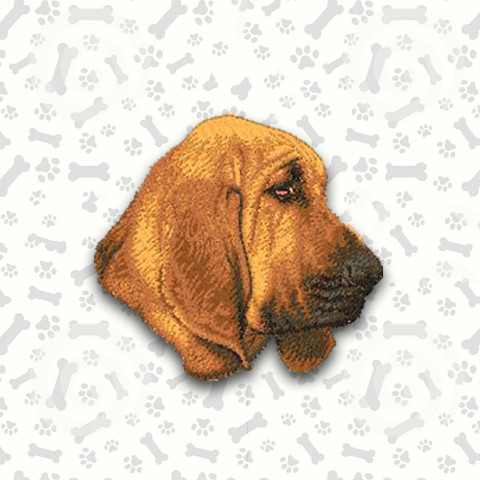 Bloodhound