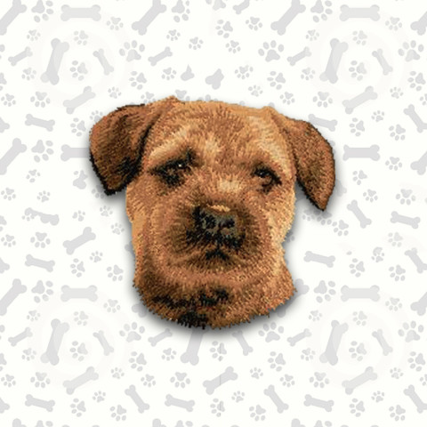 Border Terrier