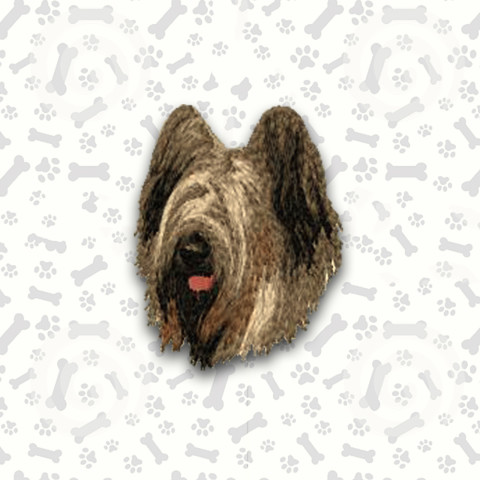 Briard