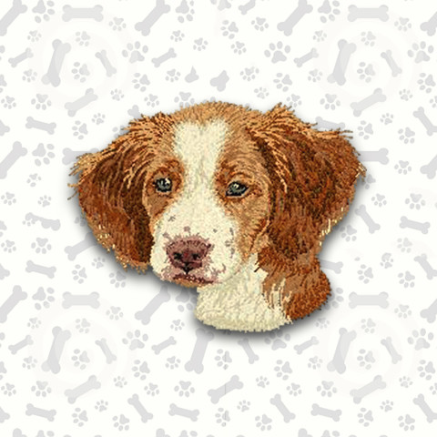 Brittany Spaniel