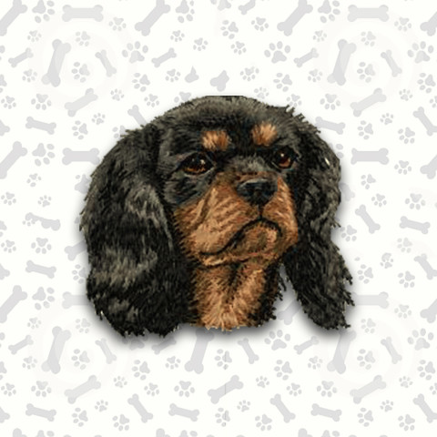 Cavalier King Charles Spaniel