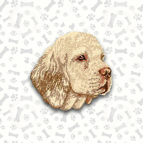 Clumber Spaniel