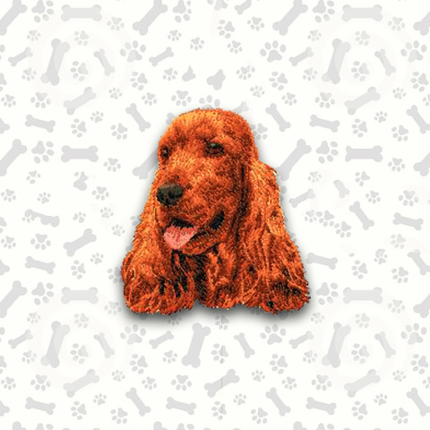 Cocker Spaniel