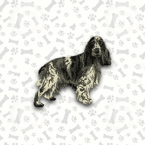 English Cocker Spaniel