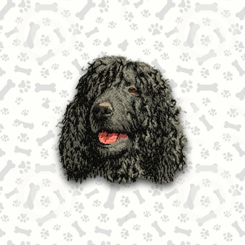 Irish Water Spaniel