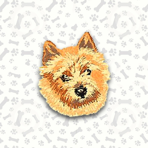 Norwich Terrier