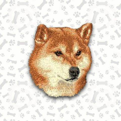 Shiba