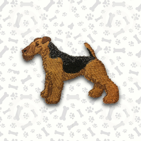 Welsh Terrier