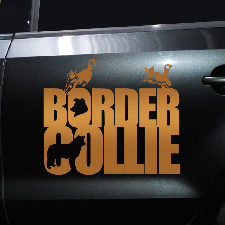 Autoaufkleber Border Collie – Bild 4