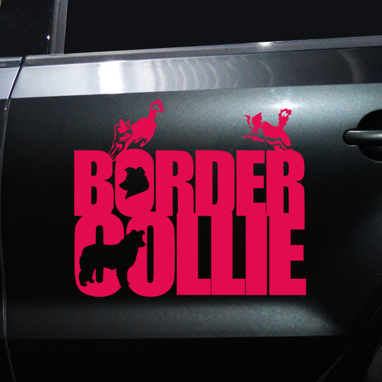 Autoaufkleber Border Collie – Bild 5