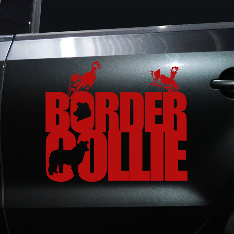 Autoaufkleber Border Collie – Bild 6