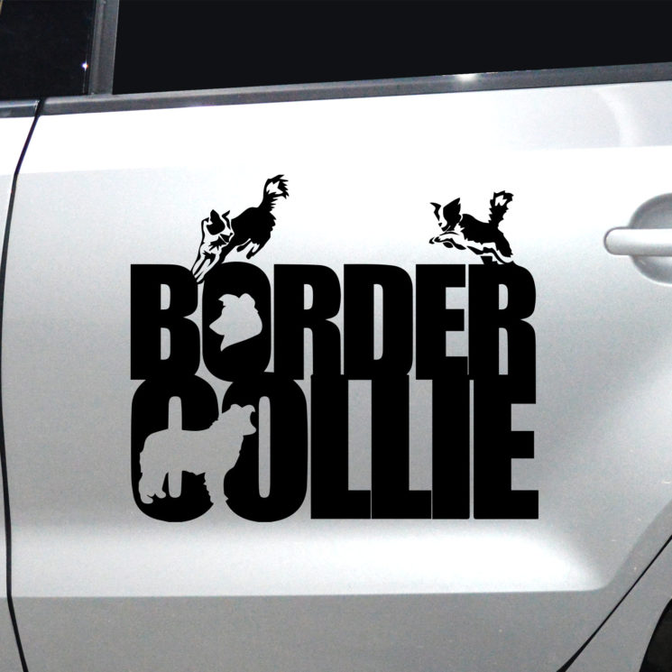 Autoaufkleber Border Collie – Bild 8