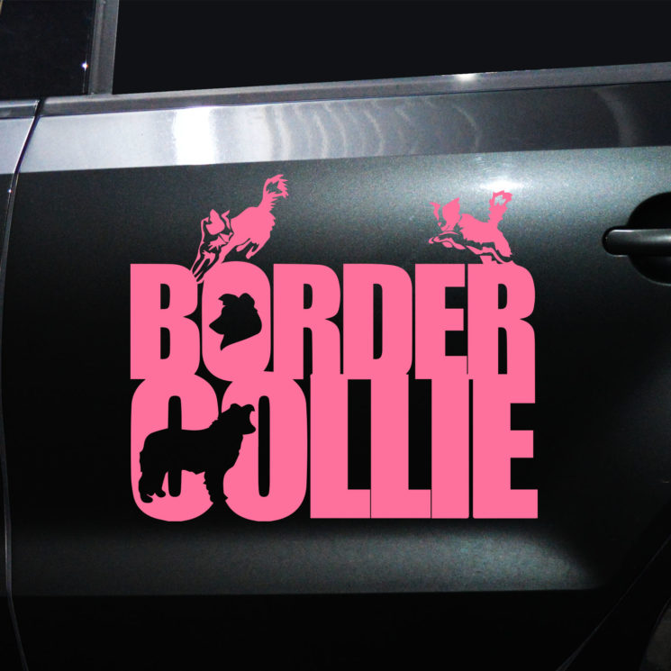 Autoaufkleber Border Collie – Bild 10