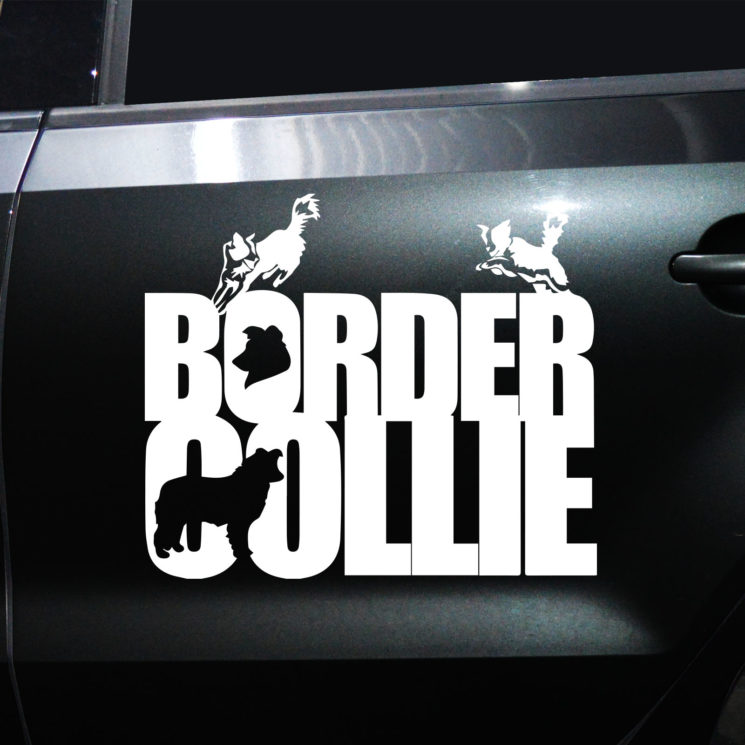 Autoaufkleber Border Collie – Bild 11