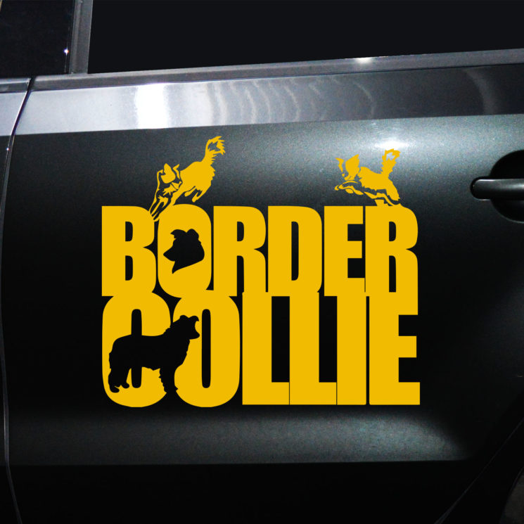 Autoaufkleber Border Collie – Bild 3