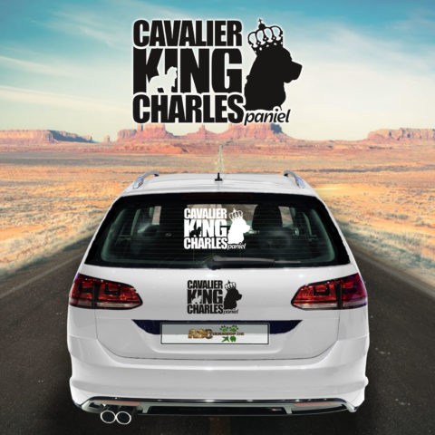 Autoaufkleber Cavalier King Charles Spaniel
