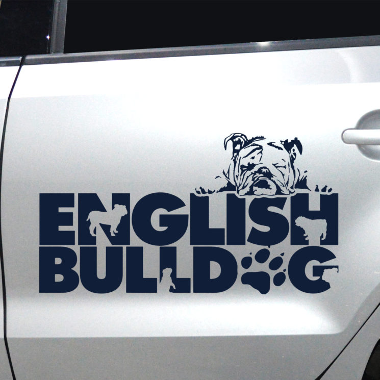 Autoaufkleber Englische Bulldogge – Bild 11