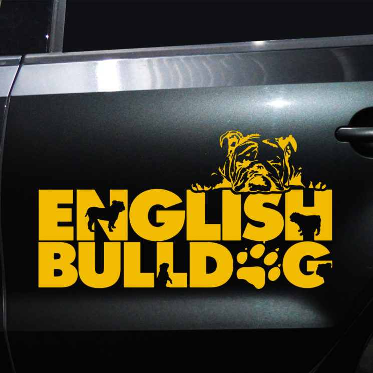 Autoaufkleber Englische Bulldogge – Bild 10