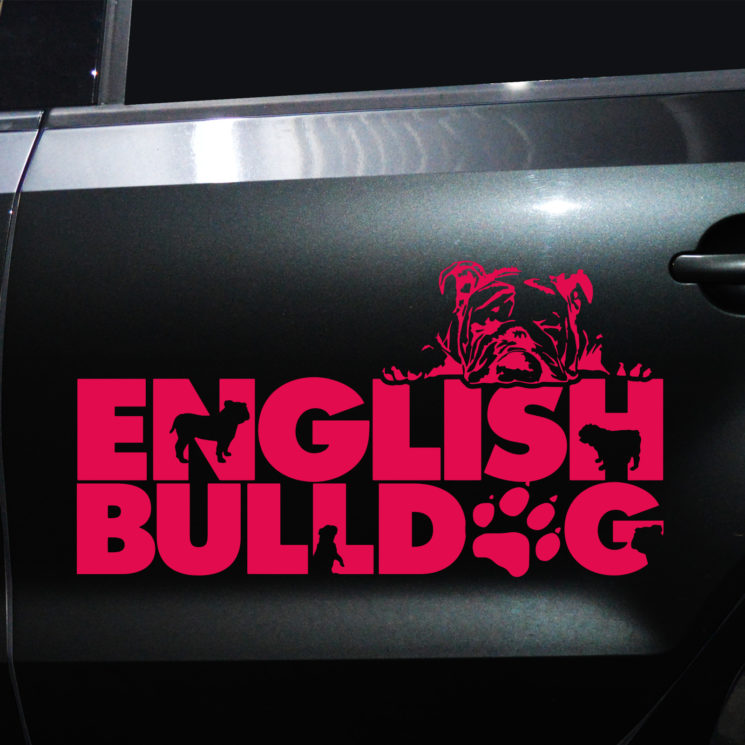 Autoaufkleber Englische Bulldogge – Bild 8