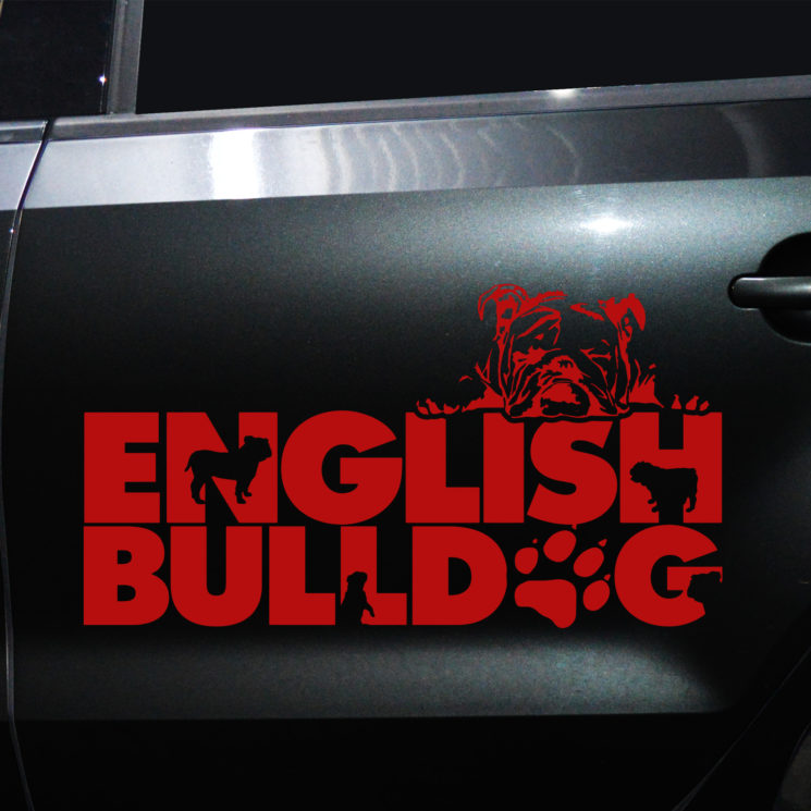 Autoaufkleber Englische Bulldogge – Bild 7