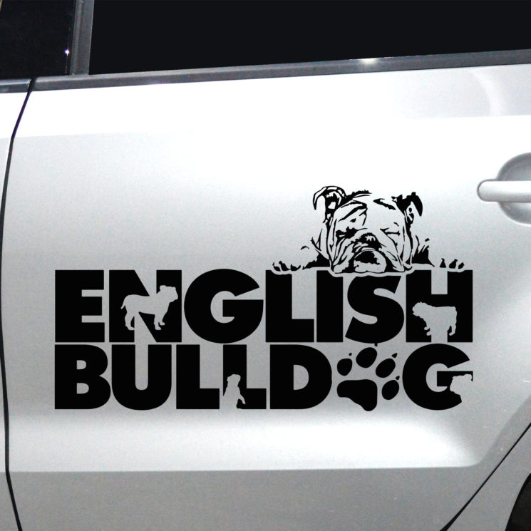 Autoaufkleber Englische Bulldogge – Bild 5