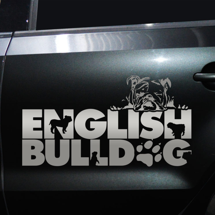 Autoaufkleber Englische Bulldogge – Bild 4