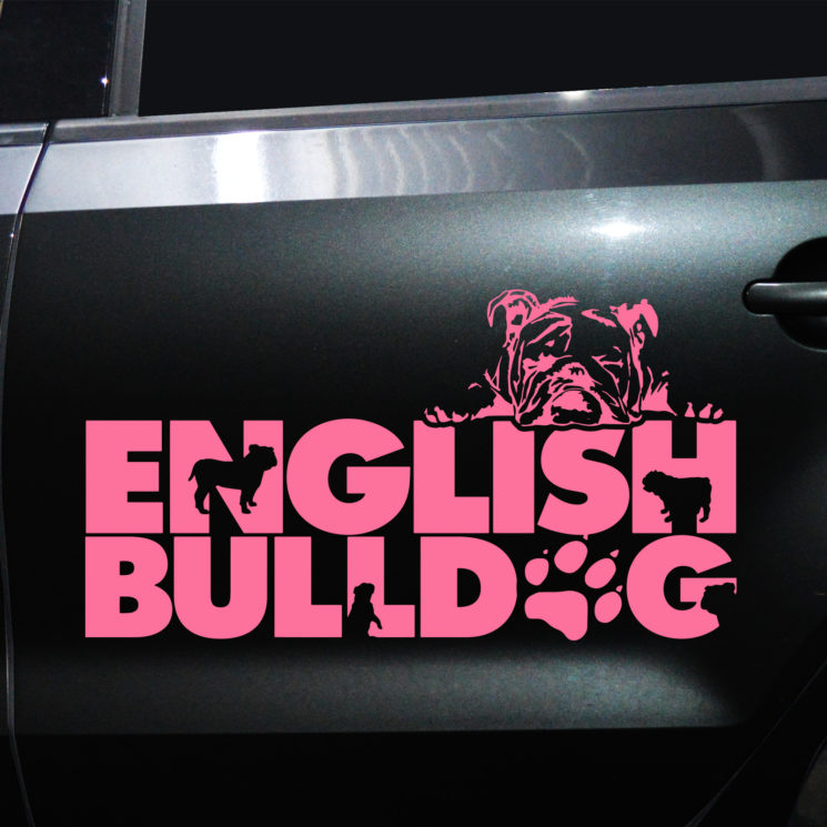 Autoaufkleber Englische Bulldogge – Bild 3