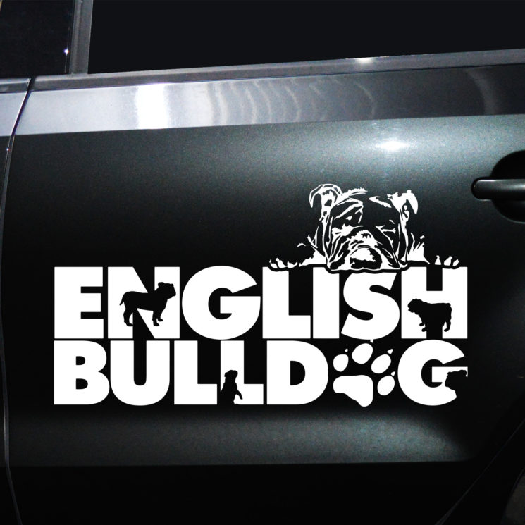 Autoaufkleber Englische Bulldogge – Bild 2