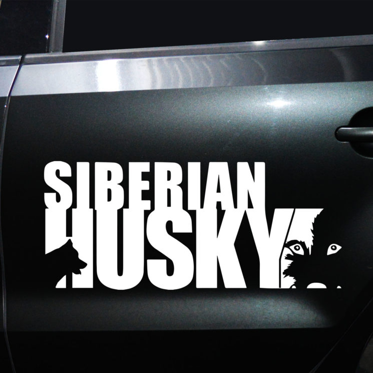Autoaufkleber Husky – Bild 11