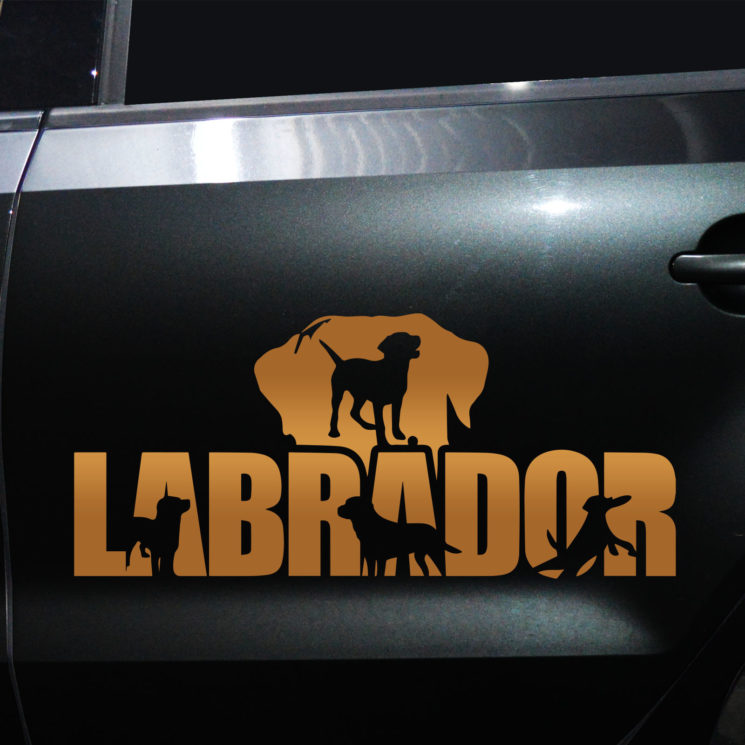 Autoaufkleber Labrador – Bild 4