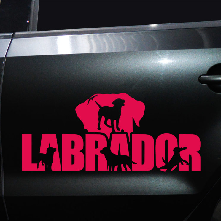 Autoaufkleber Labrador – Bild 5