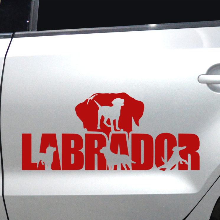 Autoaufkleber Labrador – Bild 6