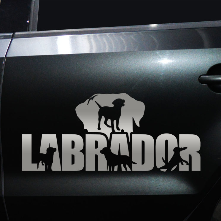 Autoaufkleber Labrador – Bild 9