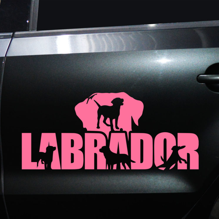 Autoaufkleber Labrador – Bild 10