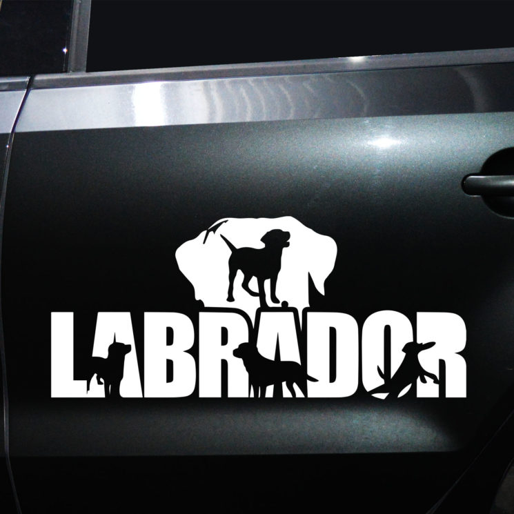 Autoaufkleber Labrador – Bild 11