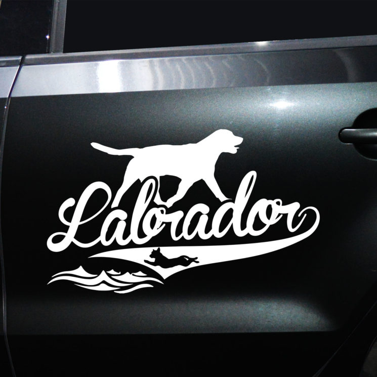 Autoaufkleber Labrador – Bild 11