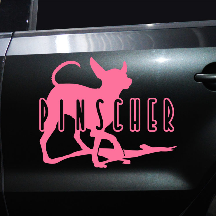 Autoaufkleber Pinscher – Bild 3