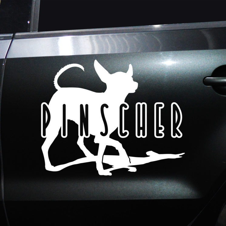 Autoaufkleber Pinscher – Bild 2