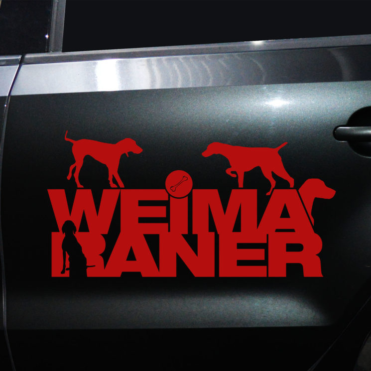 Autoaufkleber Weimaraner – Bild 8