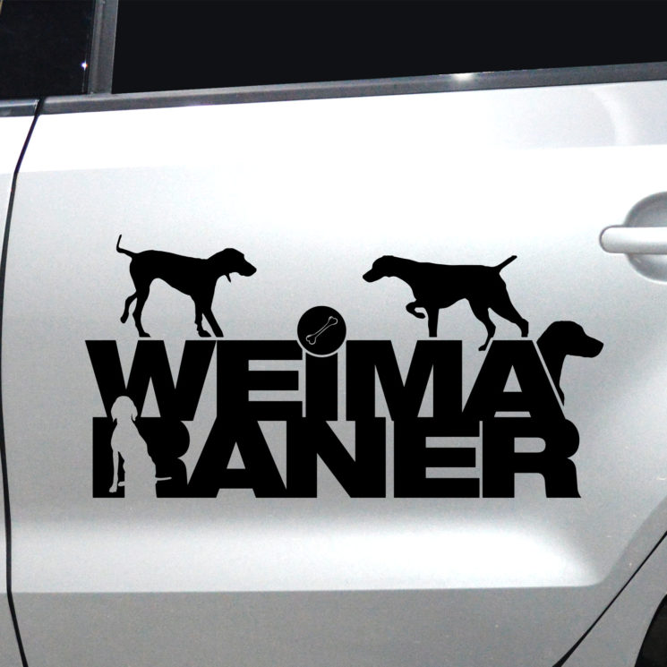 Autoaufkleber Weimaraner – Bild 6