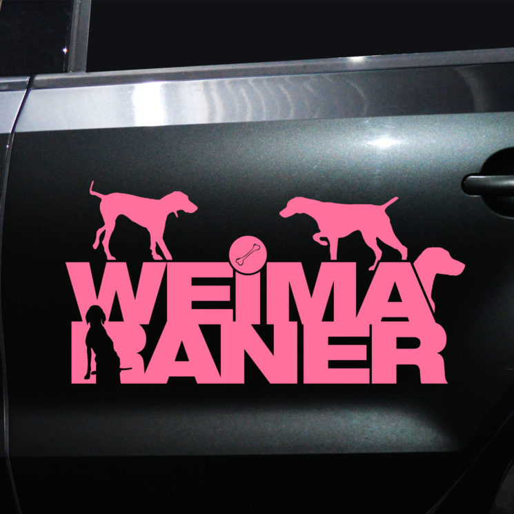 Autoaufkleber Weimaraner – Bild 4